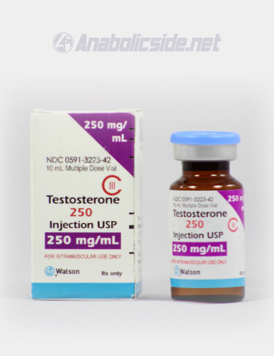 Watson, TESTOSTERONE 250 sustanon sostenon testosterona coctel organon